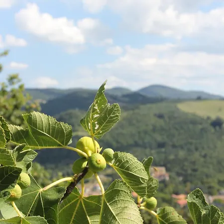 Stunning With Pool, Jacuzzi And Wonderful View Villa Apecchio